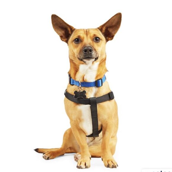 Youly Dog Harness in black - Picture 2 of 6